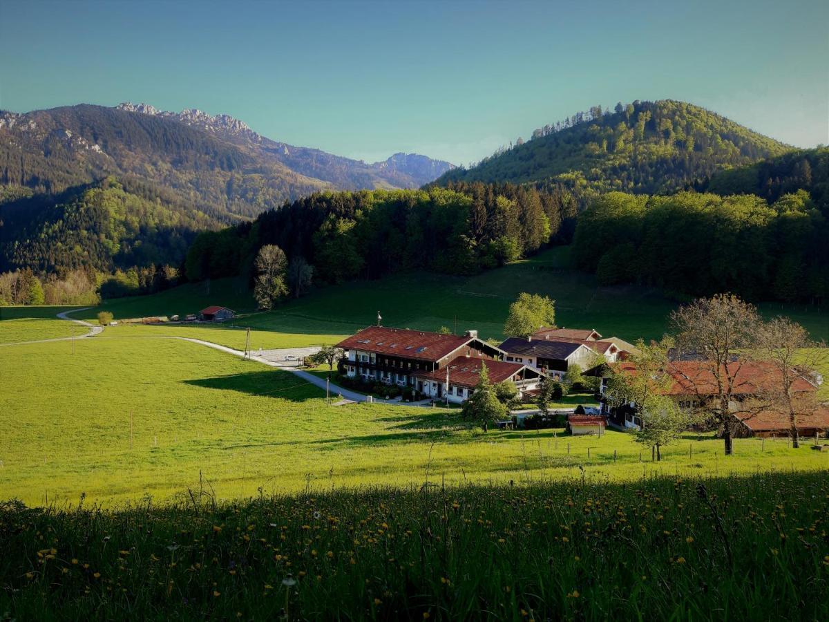 Apartmán Gschwendtnerhof App10 Krausw Aschau im Chiemgau Exteriér fotografie